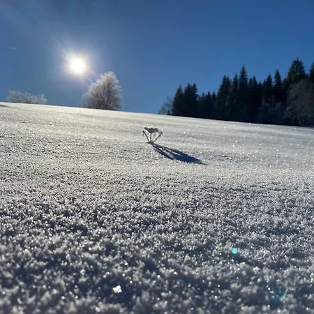 Im Erzgebirge - Alte Försterei Wildenthal * Eibenstock