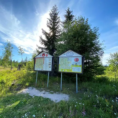 Im Erzgebirge - Alte Foersterei Wildenthal *