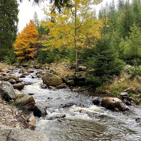 Im Erzgebirge - Alte Foersterei Wildenthal