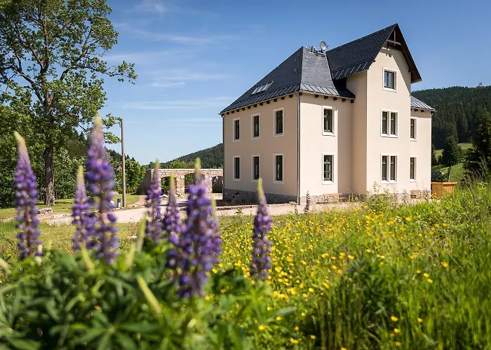 Im Erzgebirge - Alte Foersterei Wildenthal Appartamento *