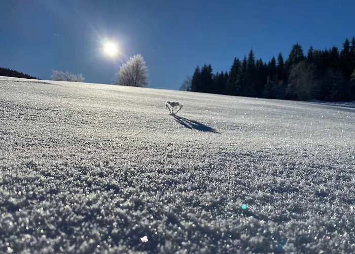 Im Erzgebirge - Alte Foersterei Wildenthal * Eibenstock