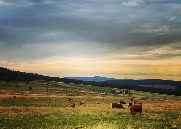 Appartamento Im Erzgebirge - Alte Foersterei Wildenthal