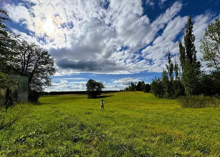 Im Erzgebirge - Alte Foersterei Wildenthal Appartamento