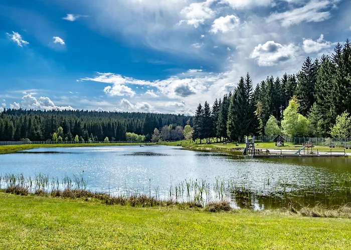 Im Erzgebirge - Alte Foersterei Wildenthal Appartamento Eibenstock