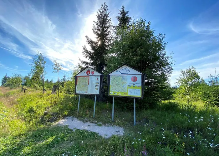Im Erzgebirge - Alte Foersterei Wildenthal *