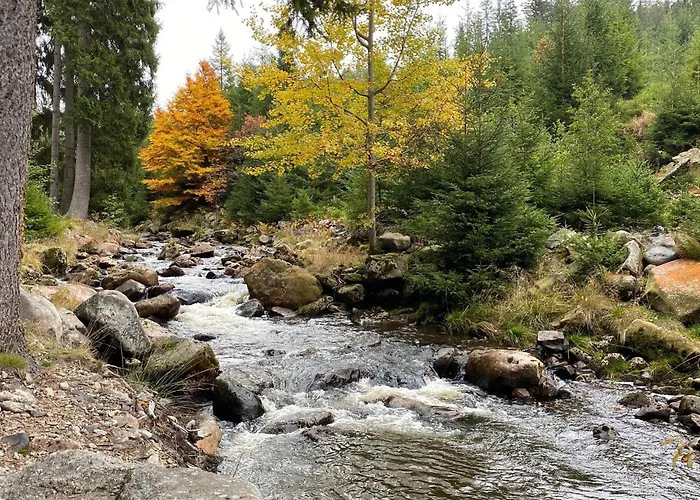 Im Erzgebirge - Alte Foersterei Wildenthal