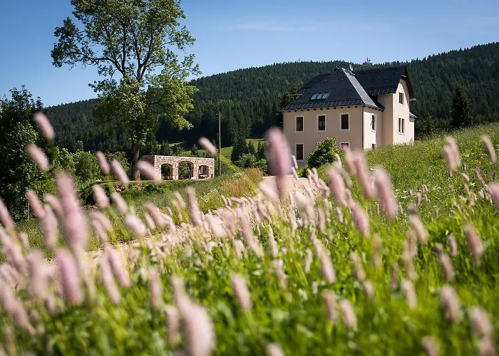 Im Erzgebirge - Alte Foersterei Wildenthal Appartamento Eibenstock